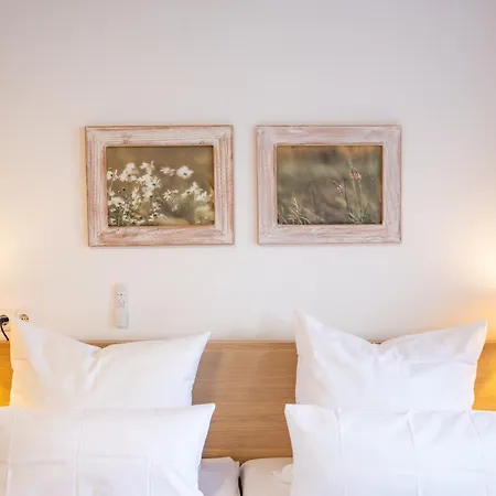 Apartament Wasenberg