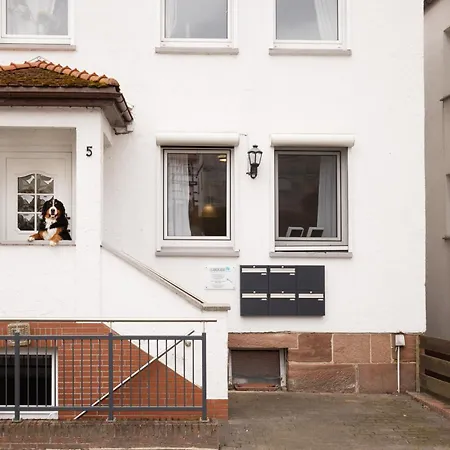Apartament Wasenberg *