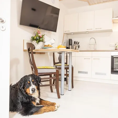 Apartament Wasenberg *
