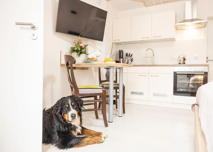 Wasenberg * Willingshausen